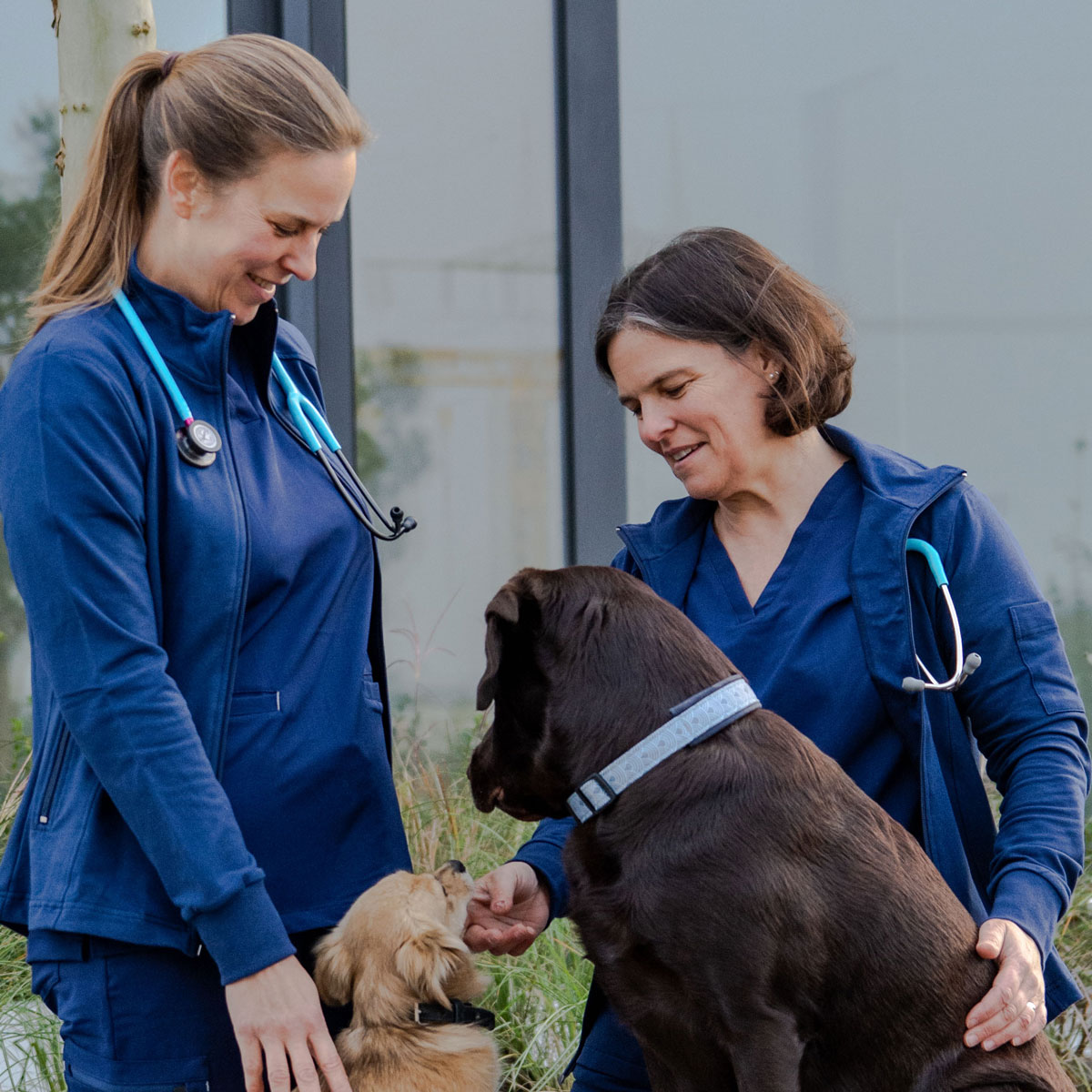 Kleintierpraxis Baiersdorf – Dr. Brigitte Horstmann & Dr. Susanne Eichler – Tierarzt, Tierärztin, Kleintiere, Baiersdorf, Erlangen, Forchheim, Nürnberg, Fürth